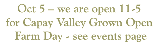 News and Events