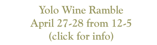 Yolo Wine Ramble April 2024