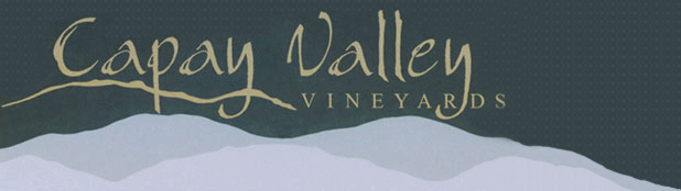 capay valley vineyards