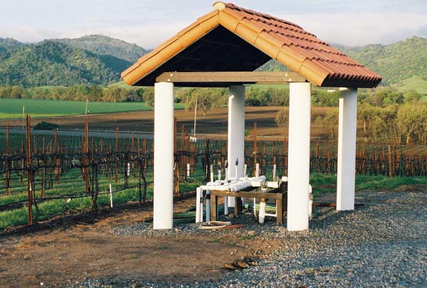 shrine to Bacchus