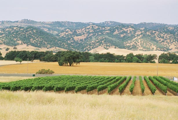 View of the Hills