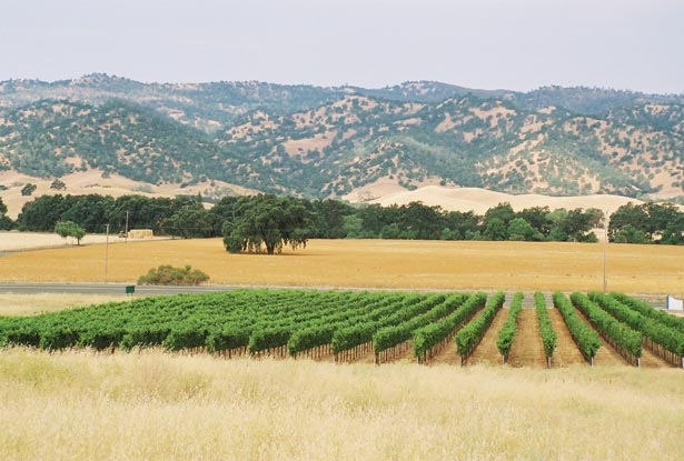 View of the Hills